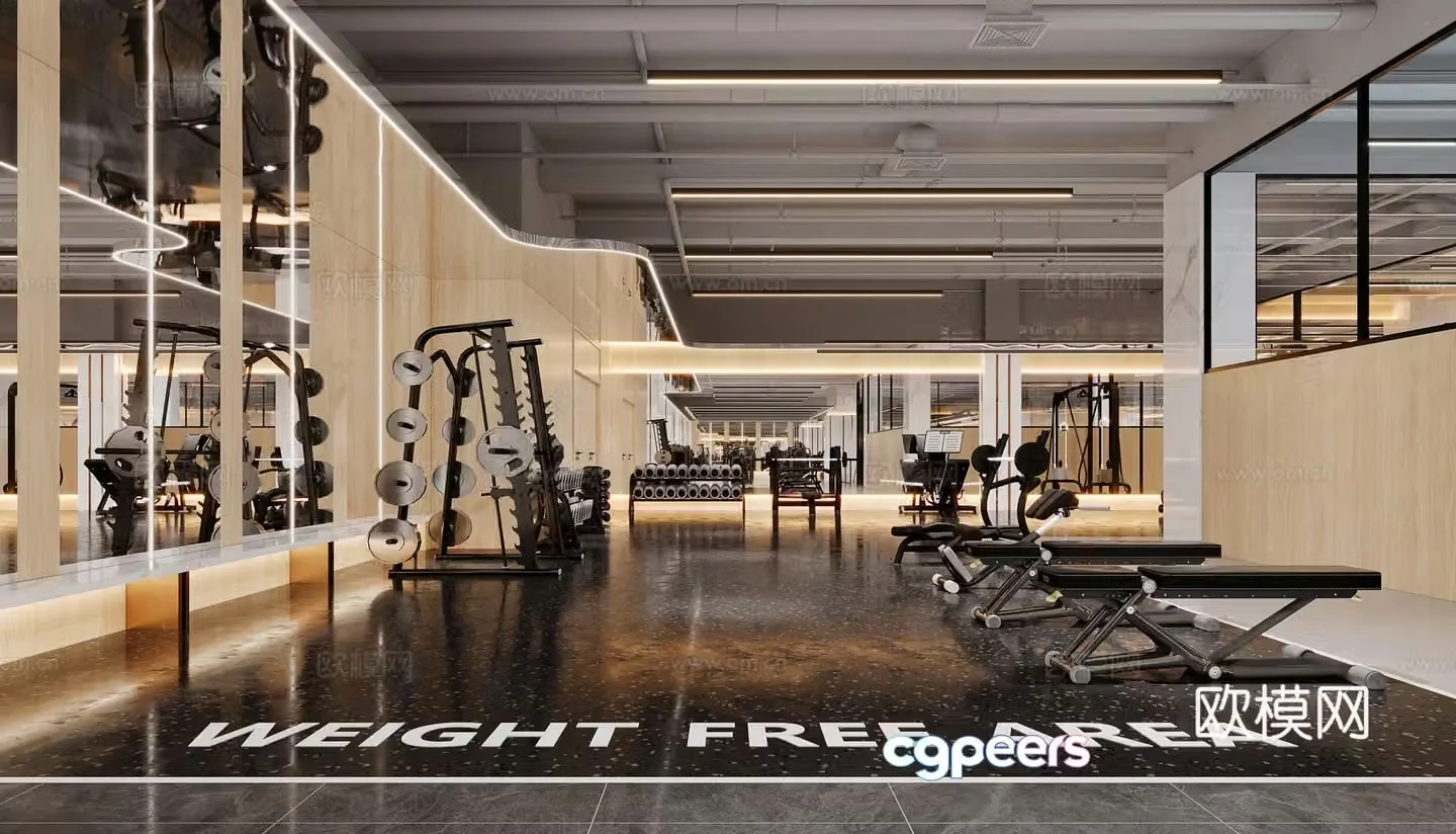 Modern indoor physical exercise hall 3d model