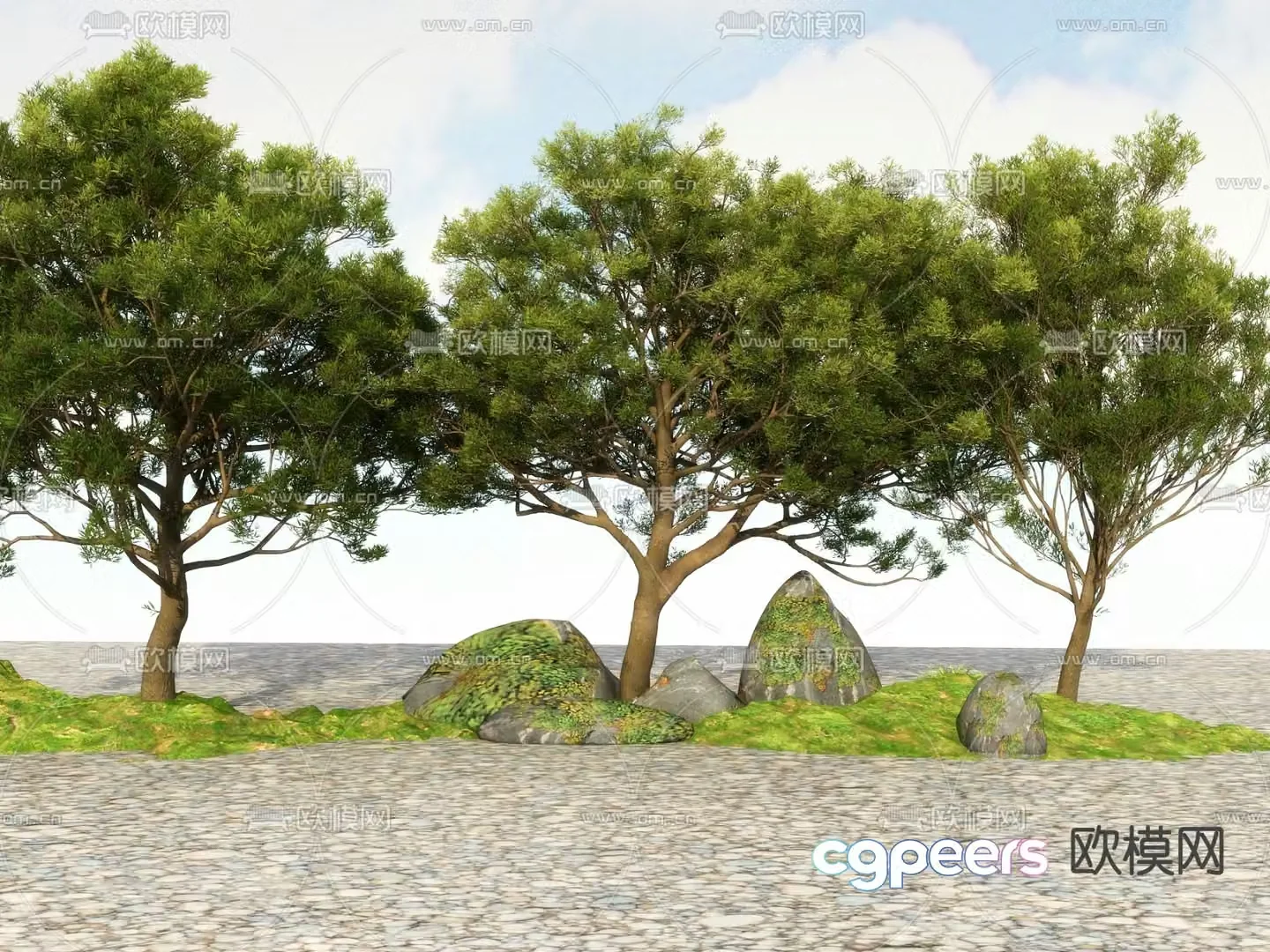 Big tree Landscape tree Street tree 3d model