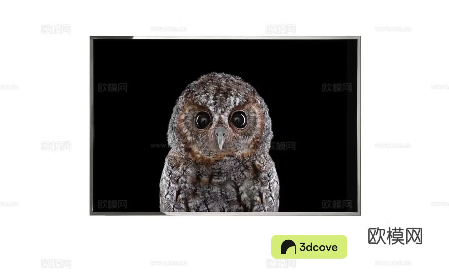 Visionnaire Postmodern Owl Hanging Painting