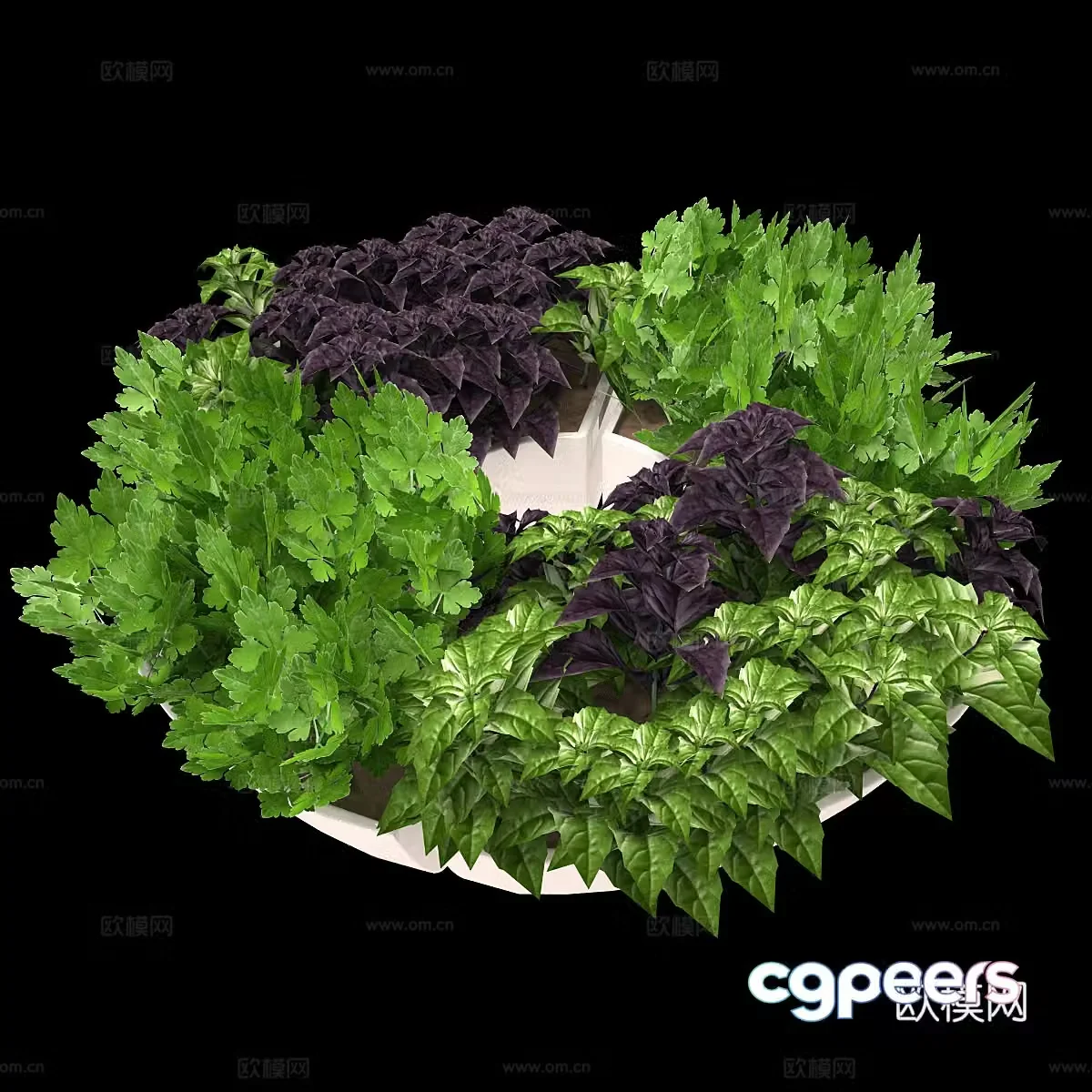Green plant flower pot 3d model