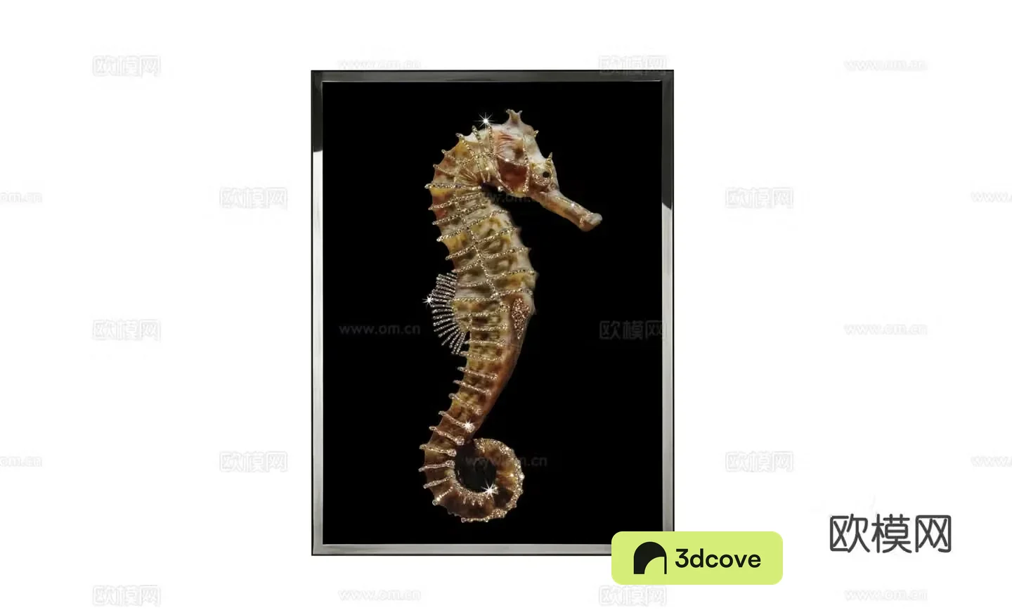 Visionnaire HIPPOCAMPUS Seahorse hanging painting