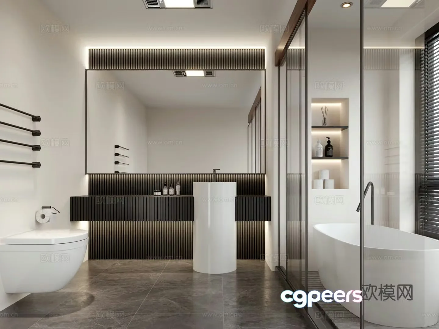 Modern black and white bathroom 3d model