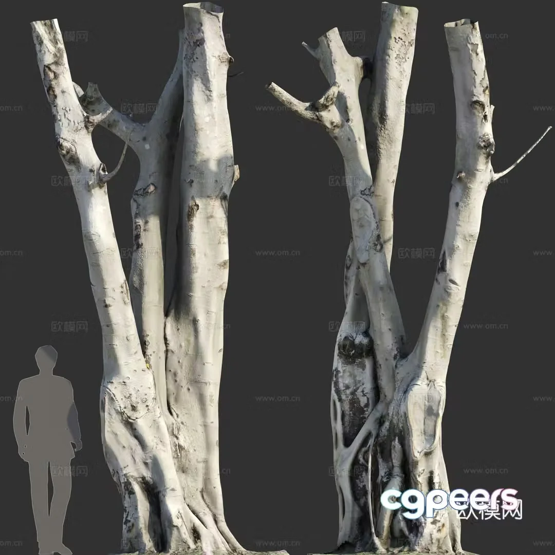 dead tree trunk 3d model
