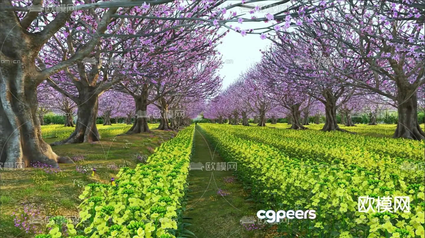 Rapeseed flower rape field peach forest peach blossom forest woodland field landscape 3d model
