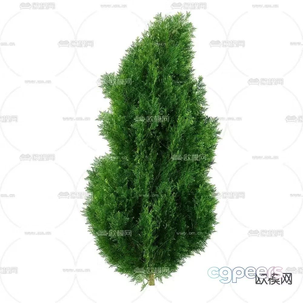 Pine Tree Landscape Tree Shrub Plant 3D Model