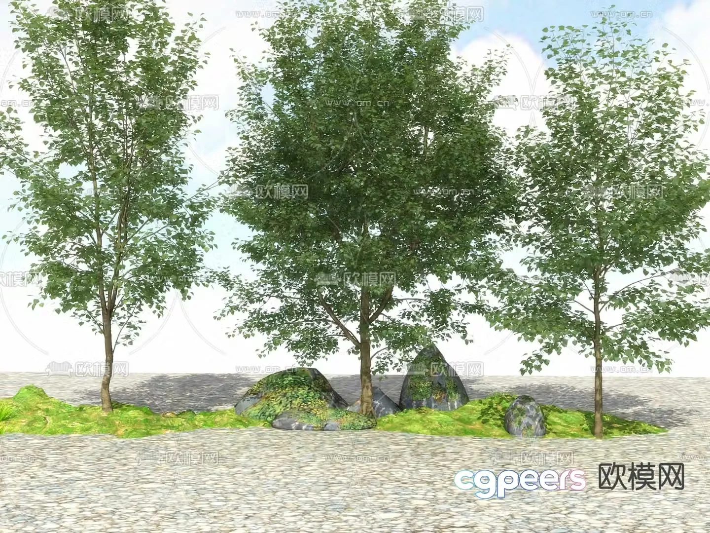 Big tree Landscape tree Street tree 3d model