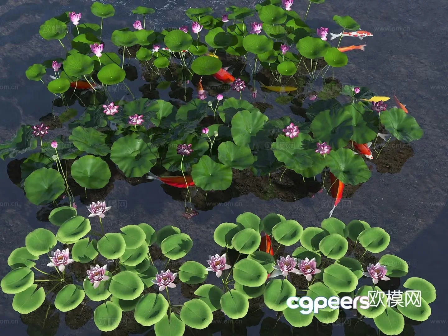 Pool Lotus Pond Ornamental Koi Pond Koi Fish Modern Lotus Lotus Combination 3D Model