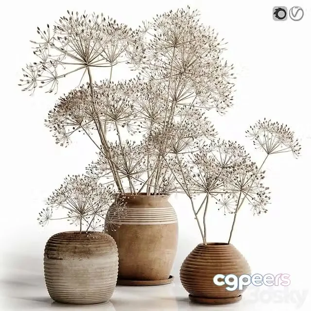 3ds Max Free – Heracleum plant set
