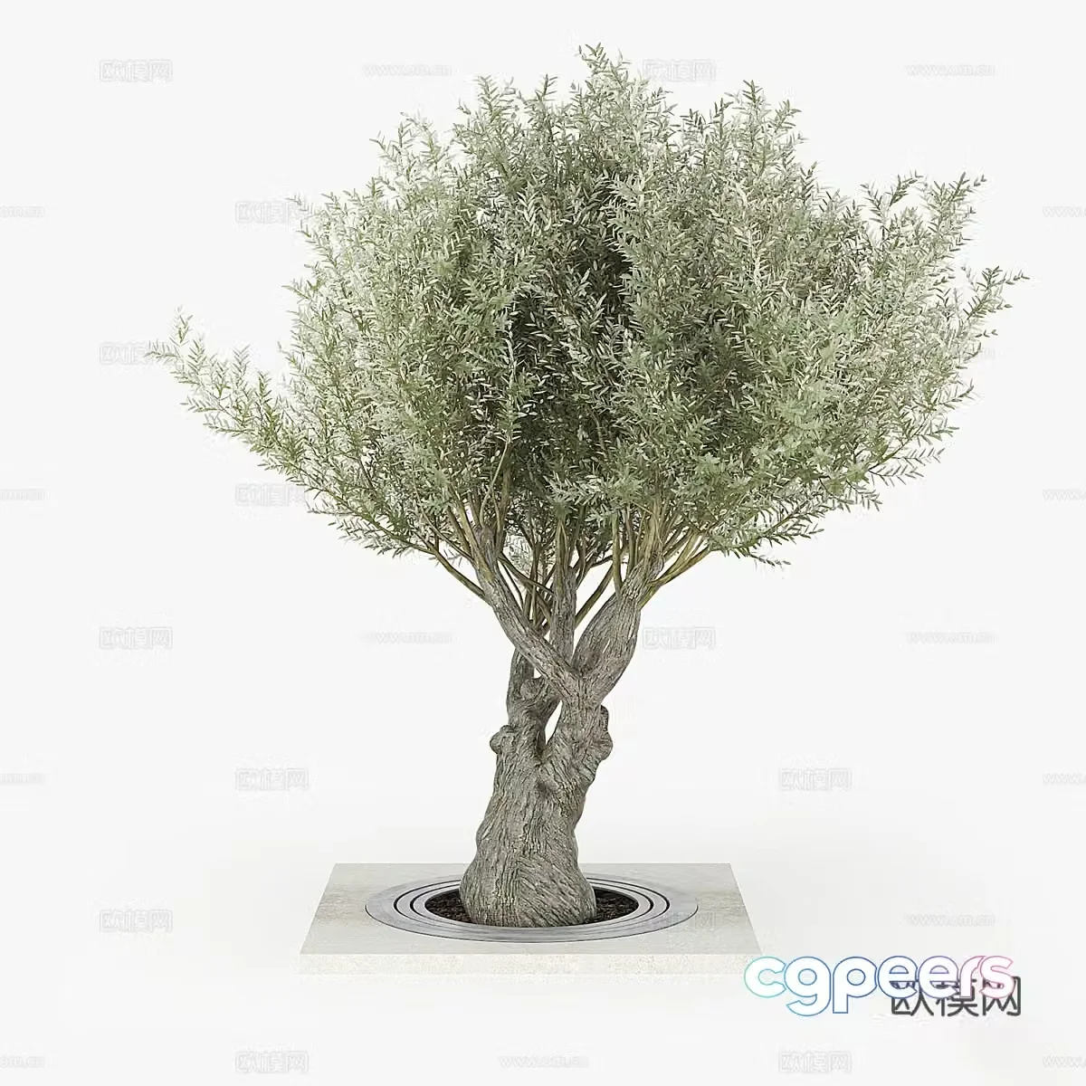 Landscape tree 3d model