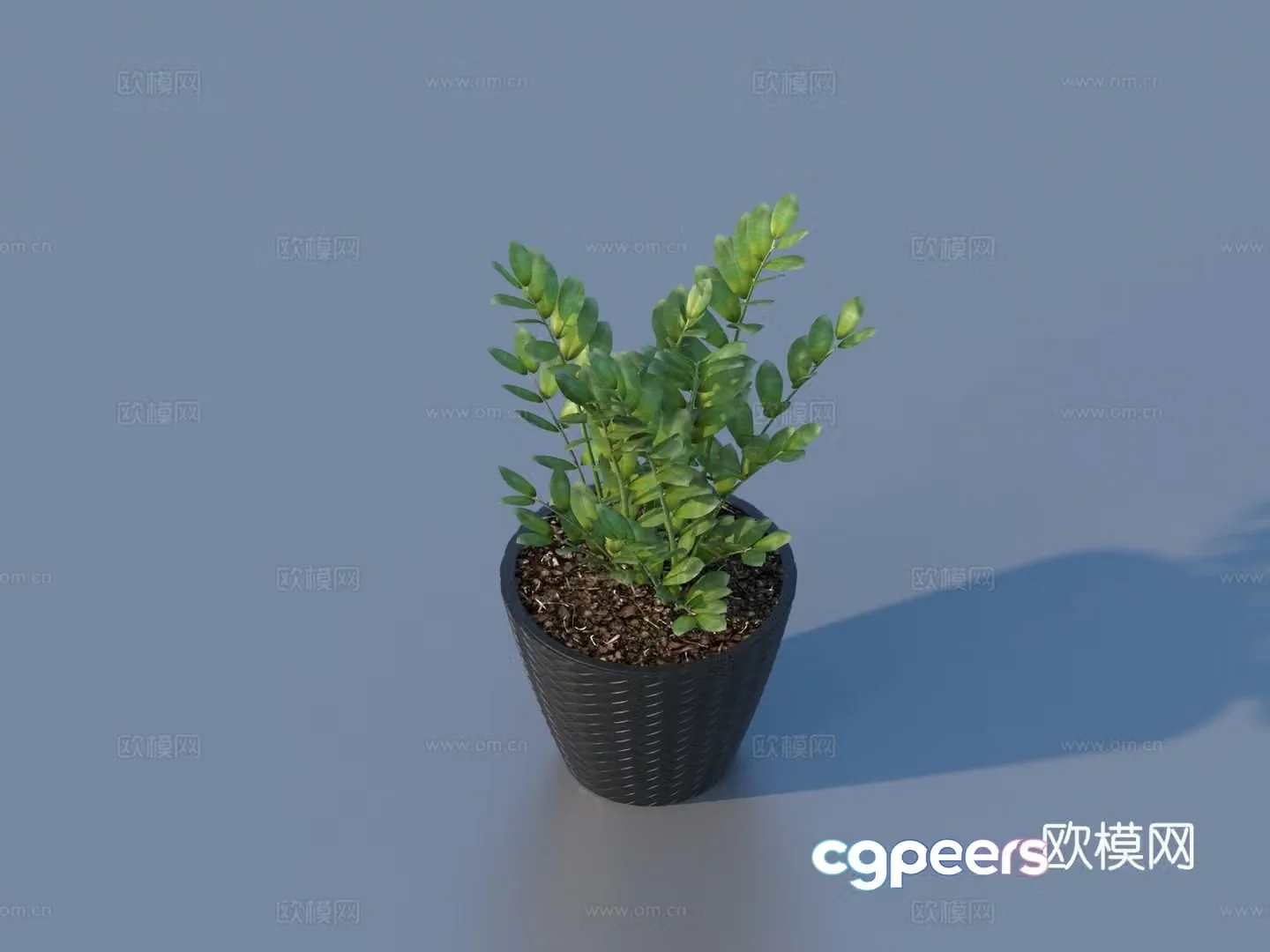 flowerpot potted plant green plant plant 3d model