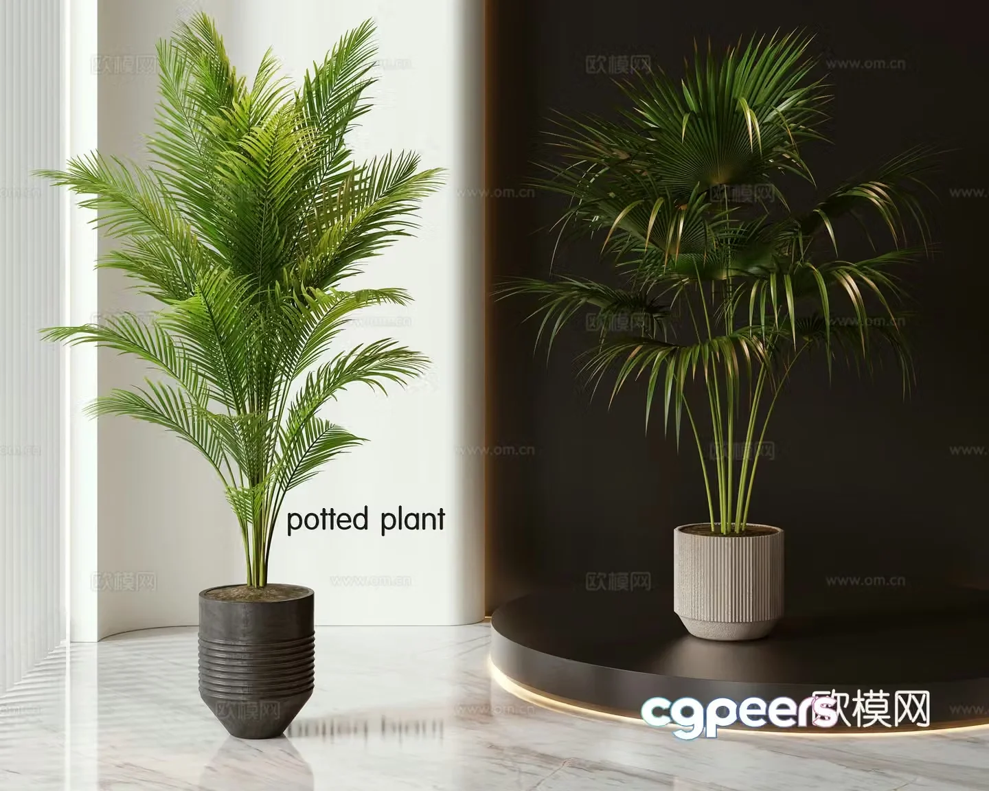 Modern potted plants bonsai green plants 3d model