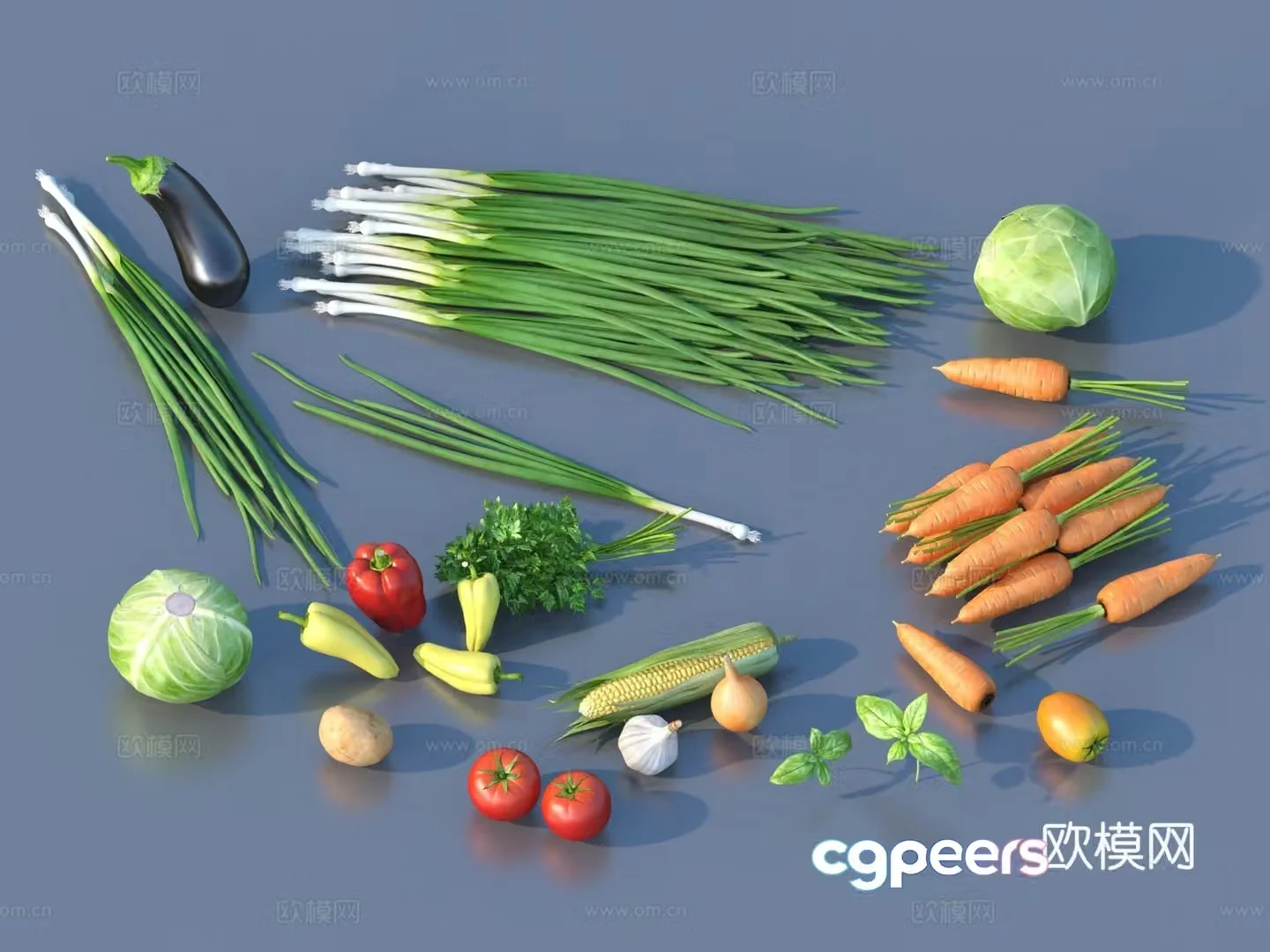 tomatoes tomatoes vegetables coriander side dishes 3d model