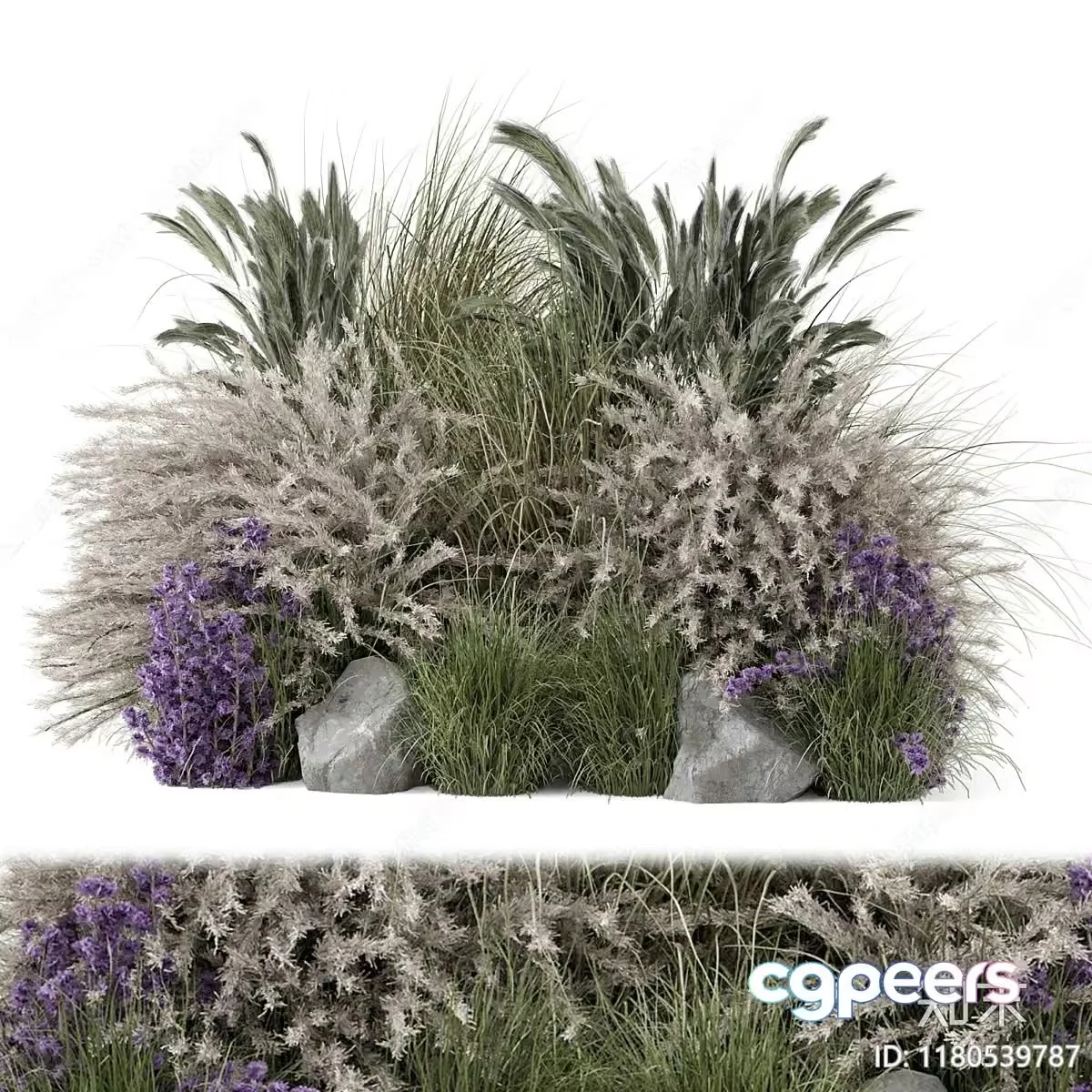 A Grassy Garden 3D Model – 11216 – VRAY Render