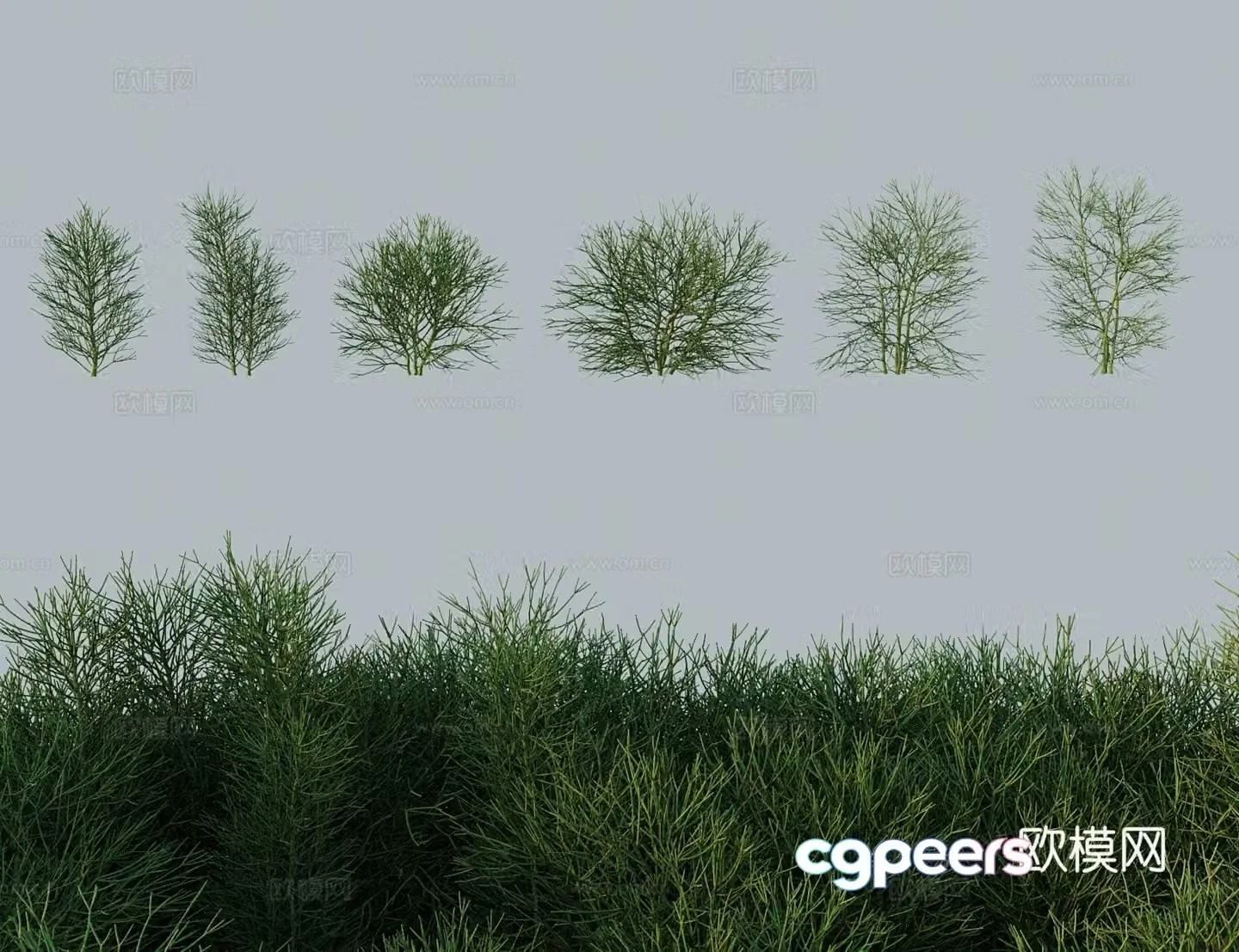 Modern tree shrubs single tree green jade tree green coral iron tree dragon bone tree fairy 3D model