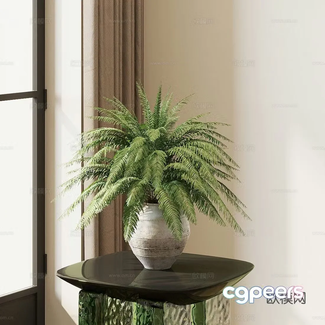 Potted plants Boston fern hanging basket tabby fern 3d model