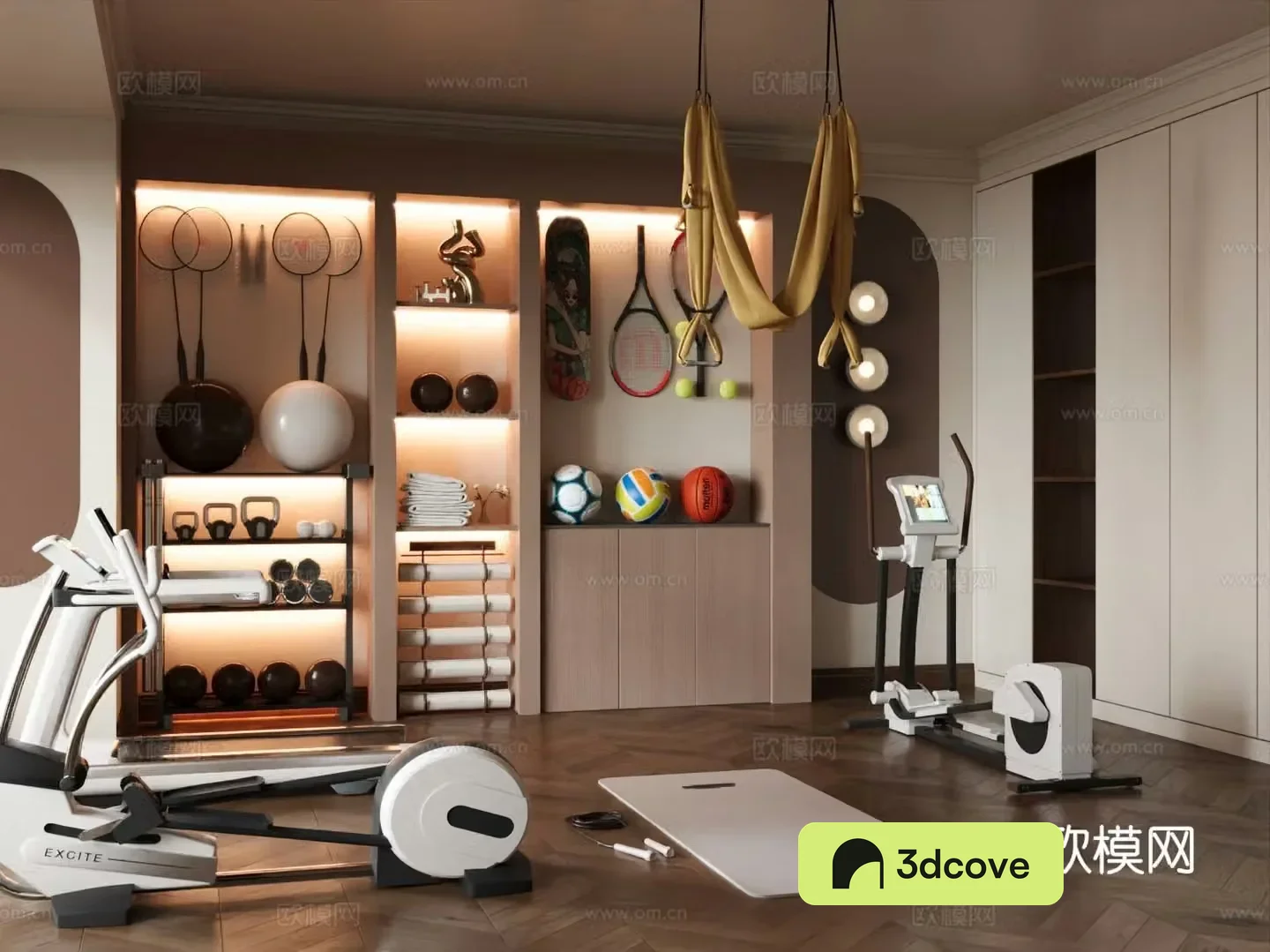 Modern home gym entertainment room