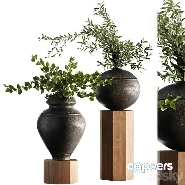 3ds Max Free – Indoor Plant Set 65