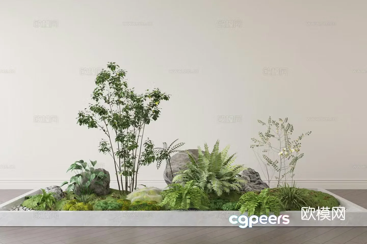 Plant heap fern sketch 3d model