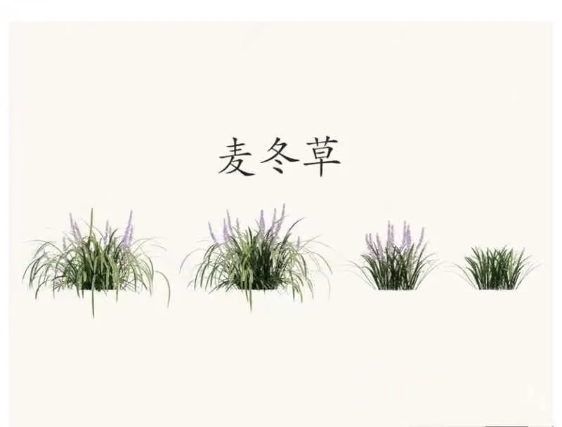 A Plant With Purple Flowers 3D Model – 22346 – VRAY Render