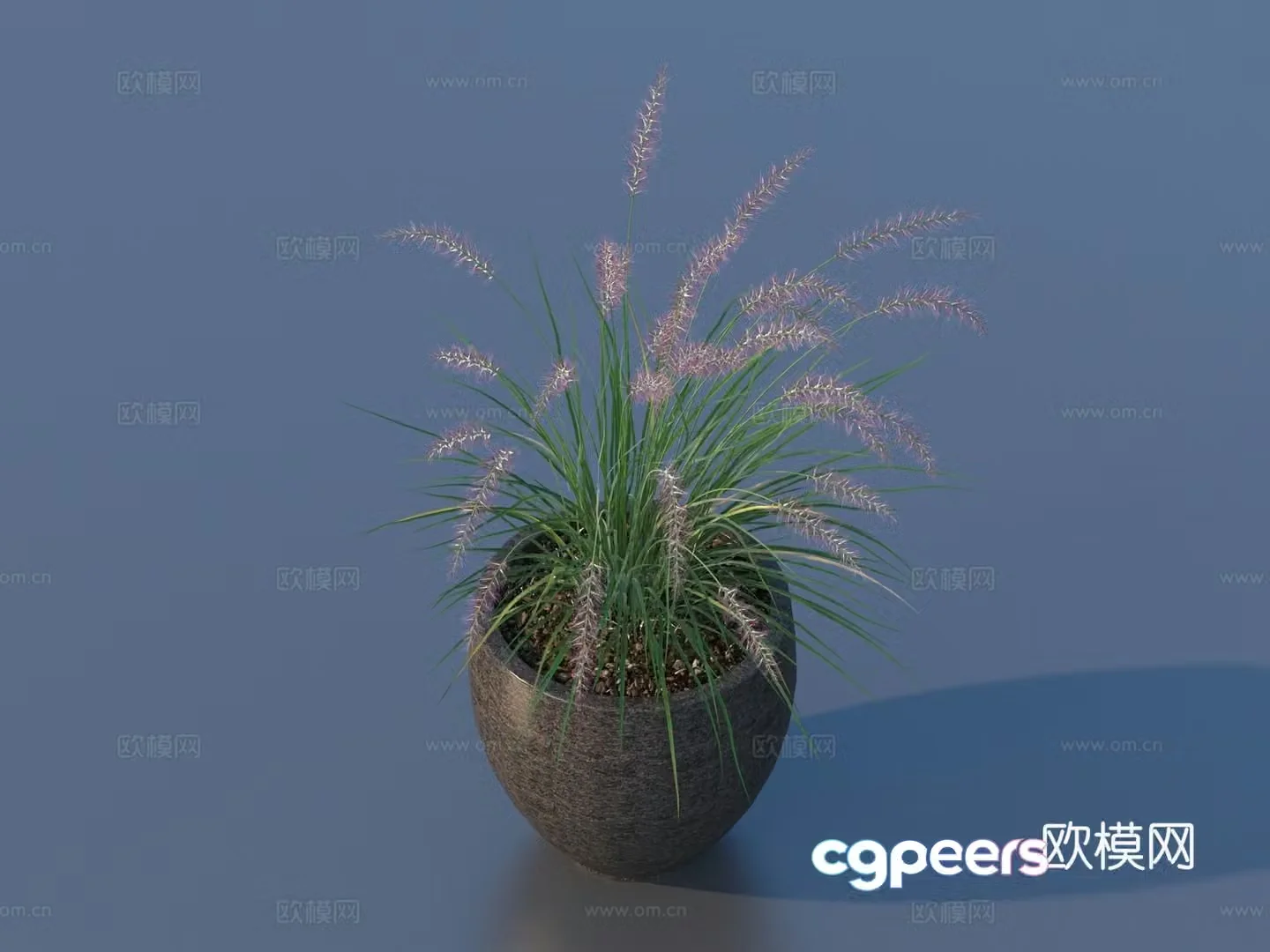 Flower pot pot green plants plant 3d model