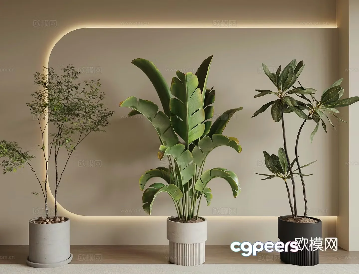 Modern green plant potted 3D model
