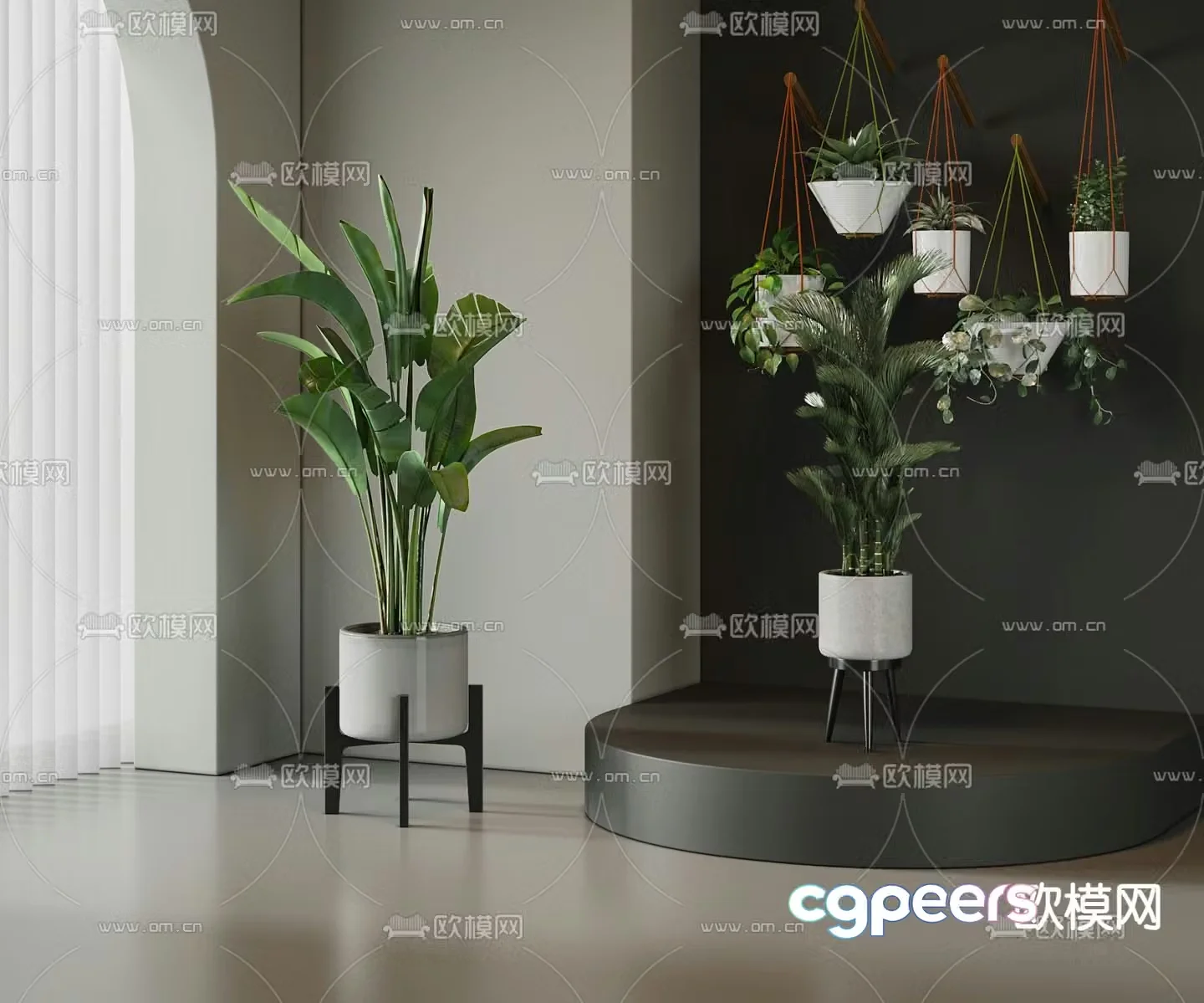 Potted Plant 3D Model