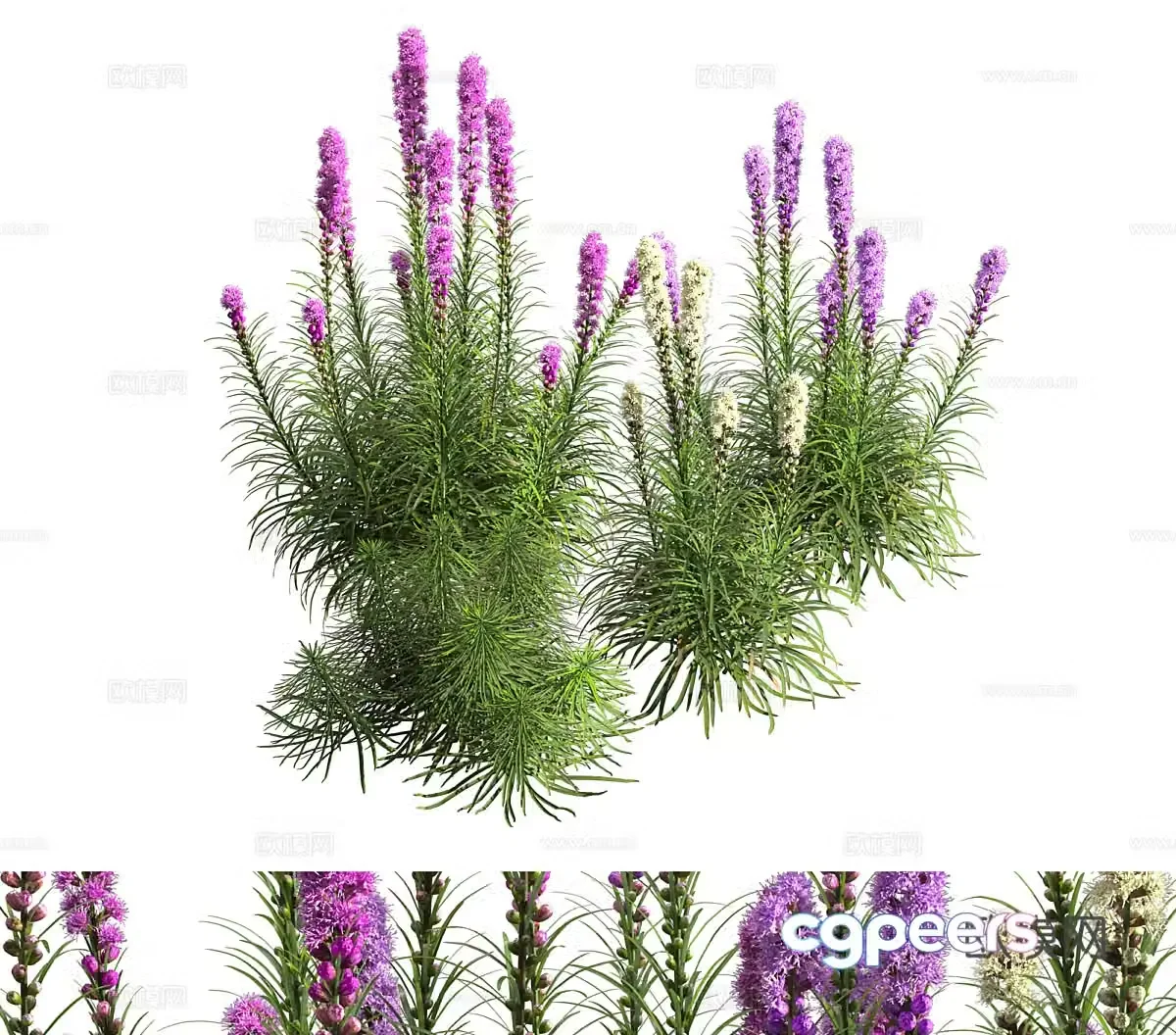 Flower bed green plants decorative green plants outdoor green plants flowers wild flowers flowers green plants 3D model