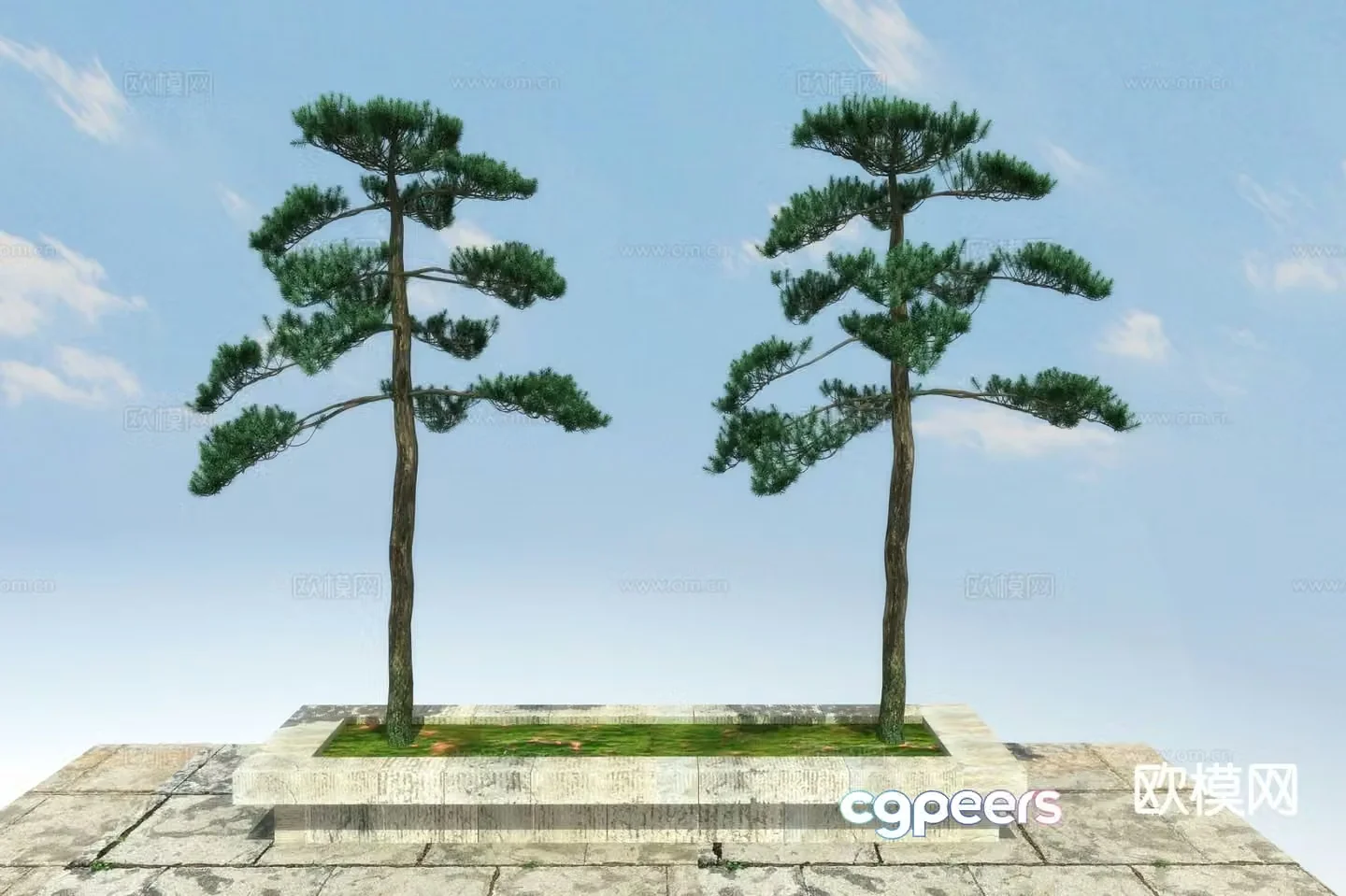 New Chinese style pine tree 3d model