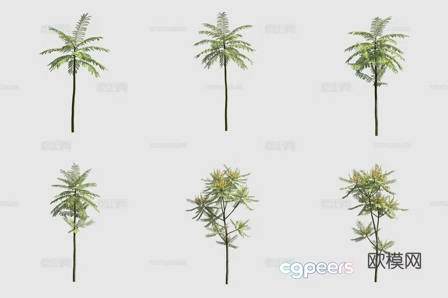 3D model of sticky leaf beans with pods to catch mosquito tree street
