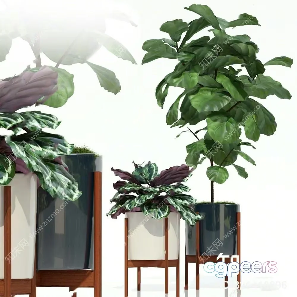 Modern Houseplants 3D Model – 677 – VRAY Render
