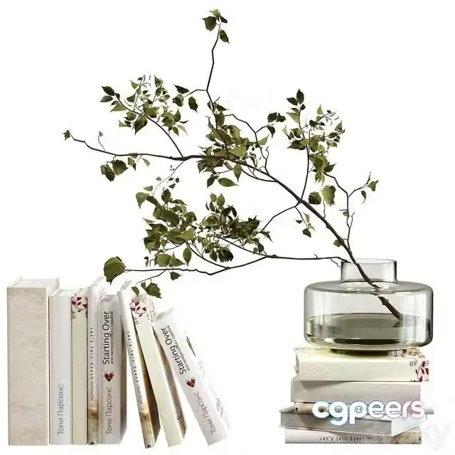 3ds Max Free – Decorative set with books and plant