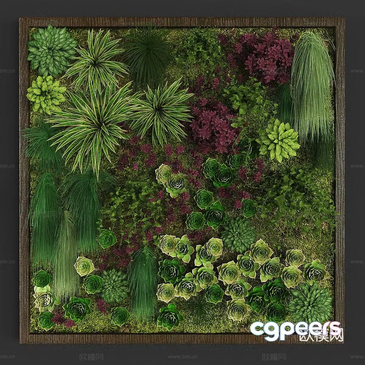 Moss Plant Wall Shrub Plant Green Plant Wall 3D Model