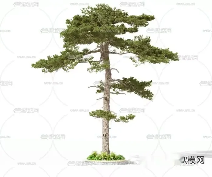 A Tree With Green Leaves 3D Model – 20071 – VRAY Render
