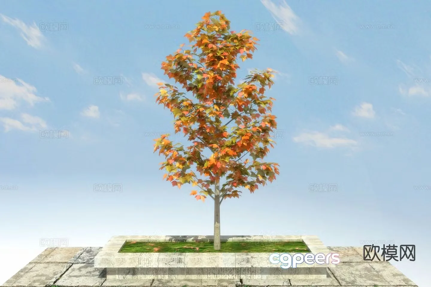Landscape tree tree maple 3d model