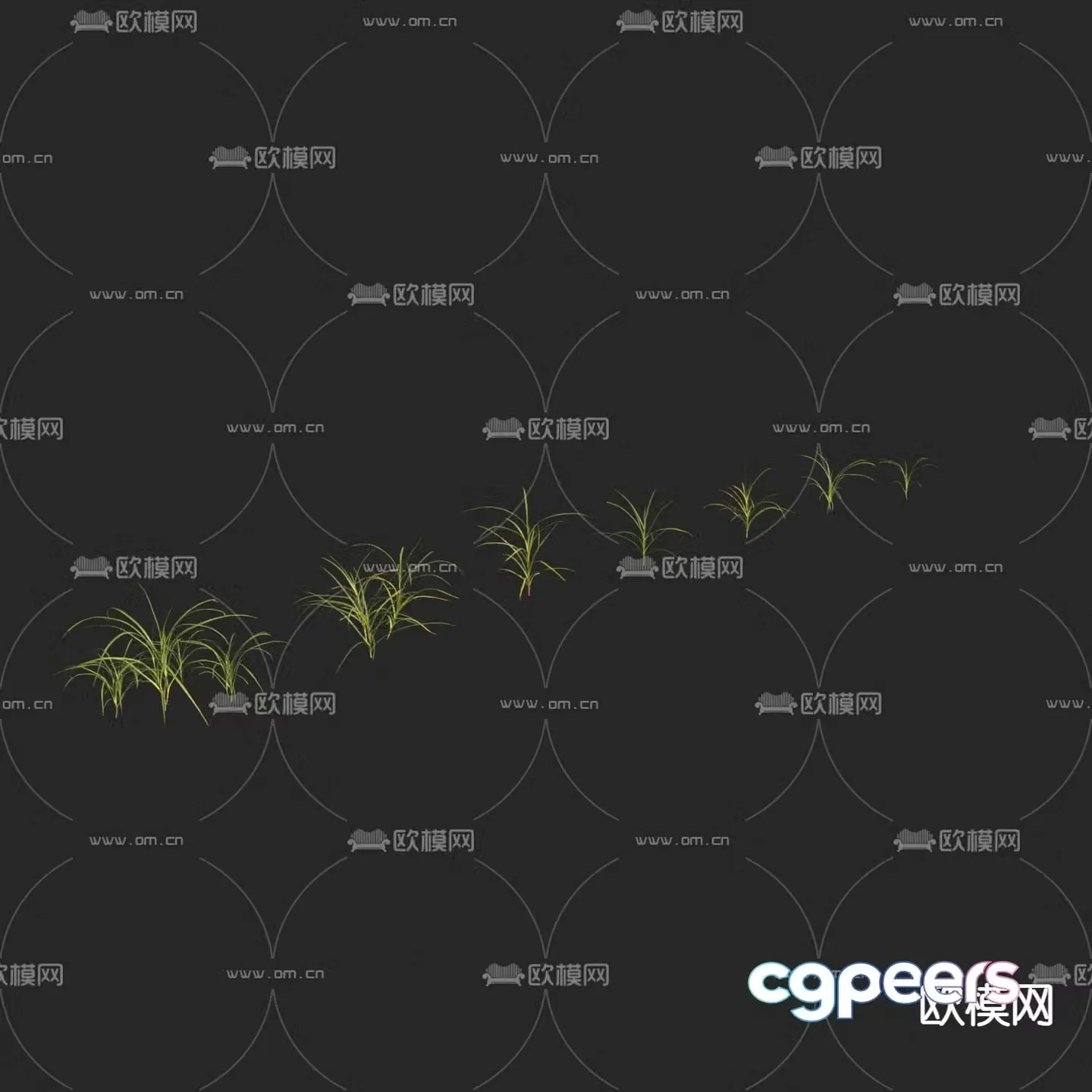 Flowers and plants Duck thatch 3D model