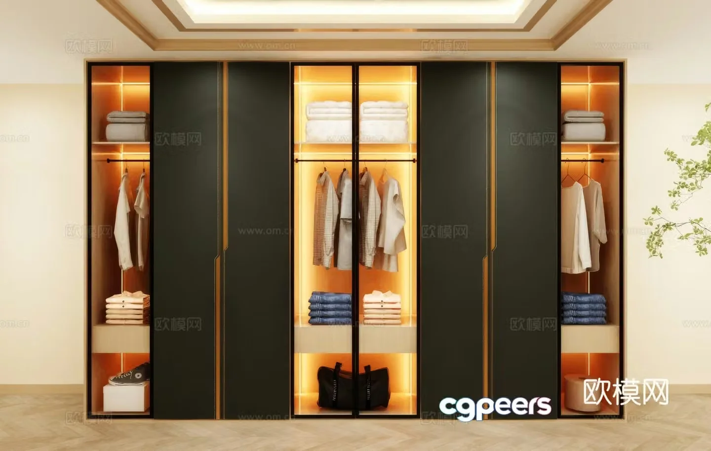 Wardrobe design Wardrobe renderings Wardrobe wardrobe design Wardrobe cabinet 3d model