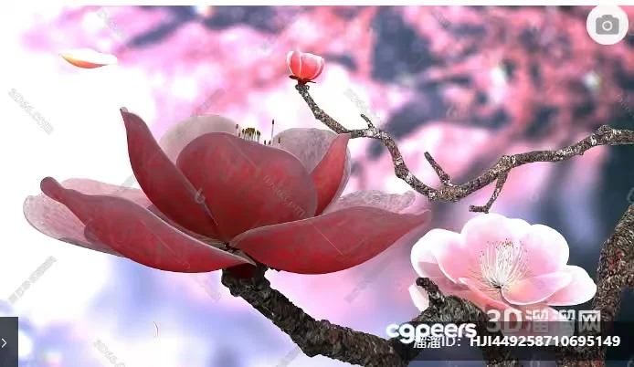 A Pink Flower 3D Model – 5537 – VRAY Render