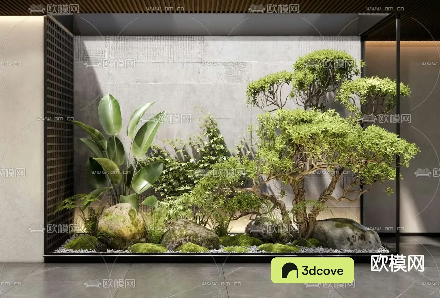 Indoor landscape plant landscaping