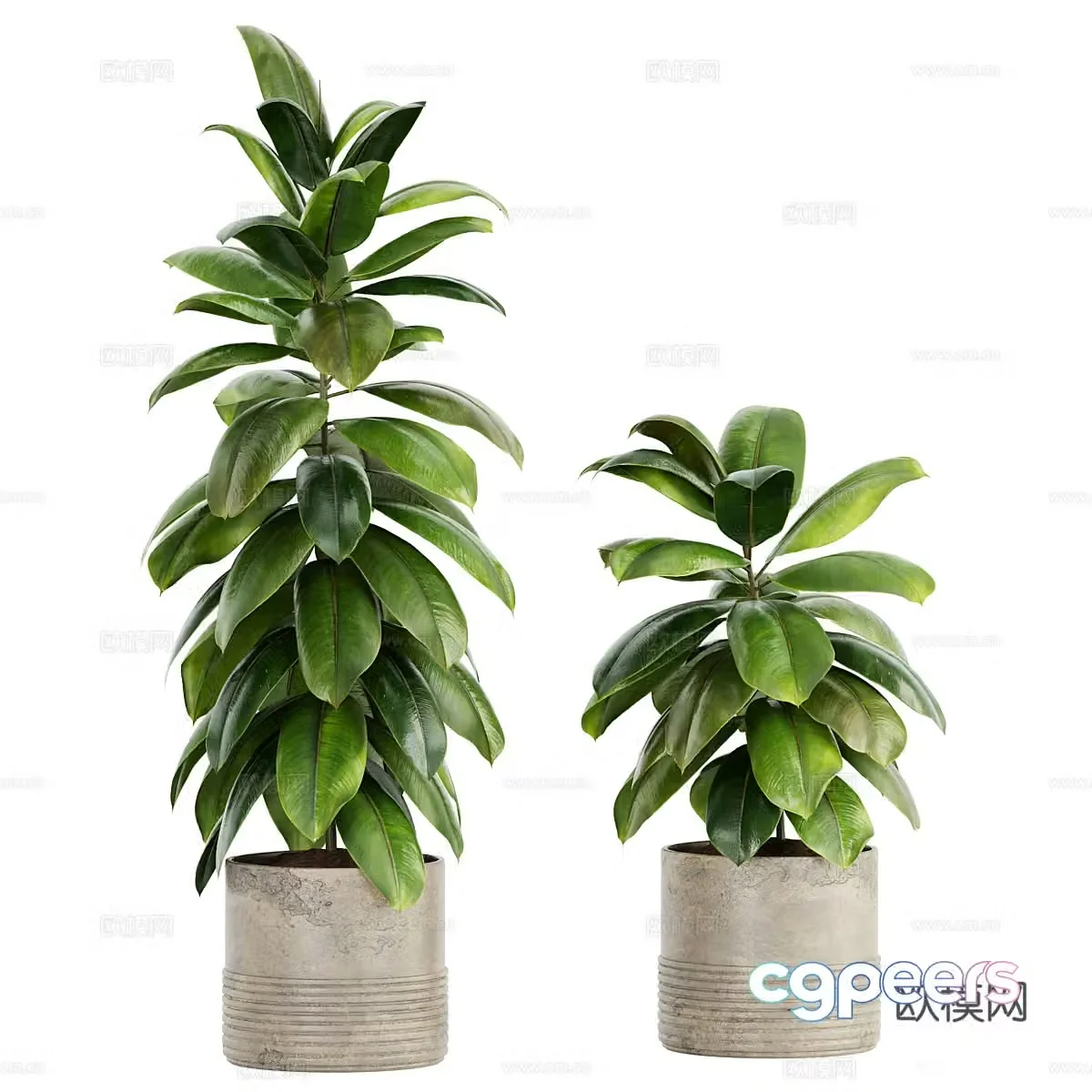 Modern green plant potted 3D model