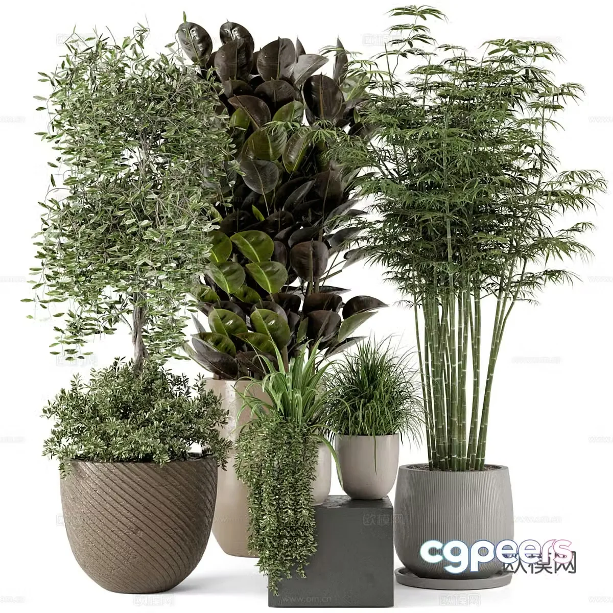 Green plant potted 3D model
