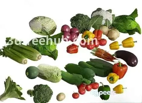 Various Vegetables 3D Model – 23498 – VRAY Render