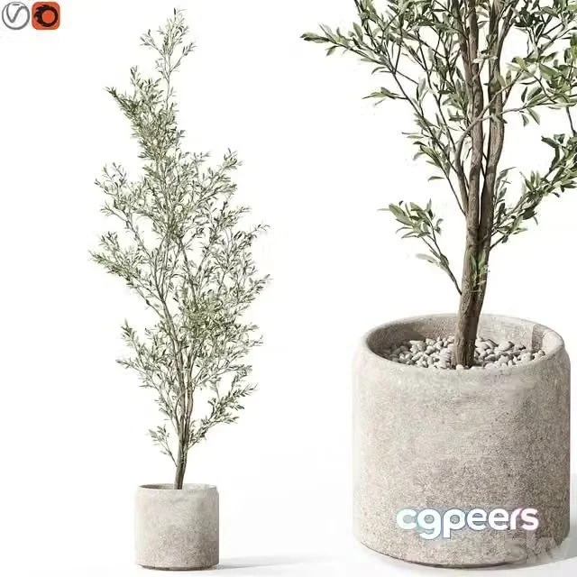 3ds Max Free – Plants collection 1050