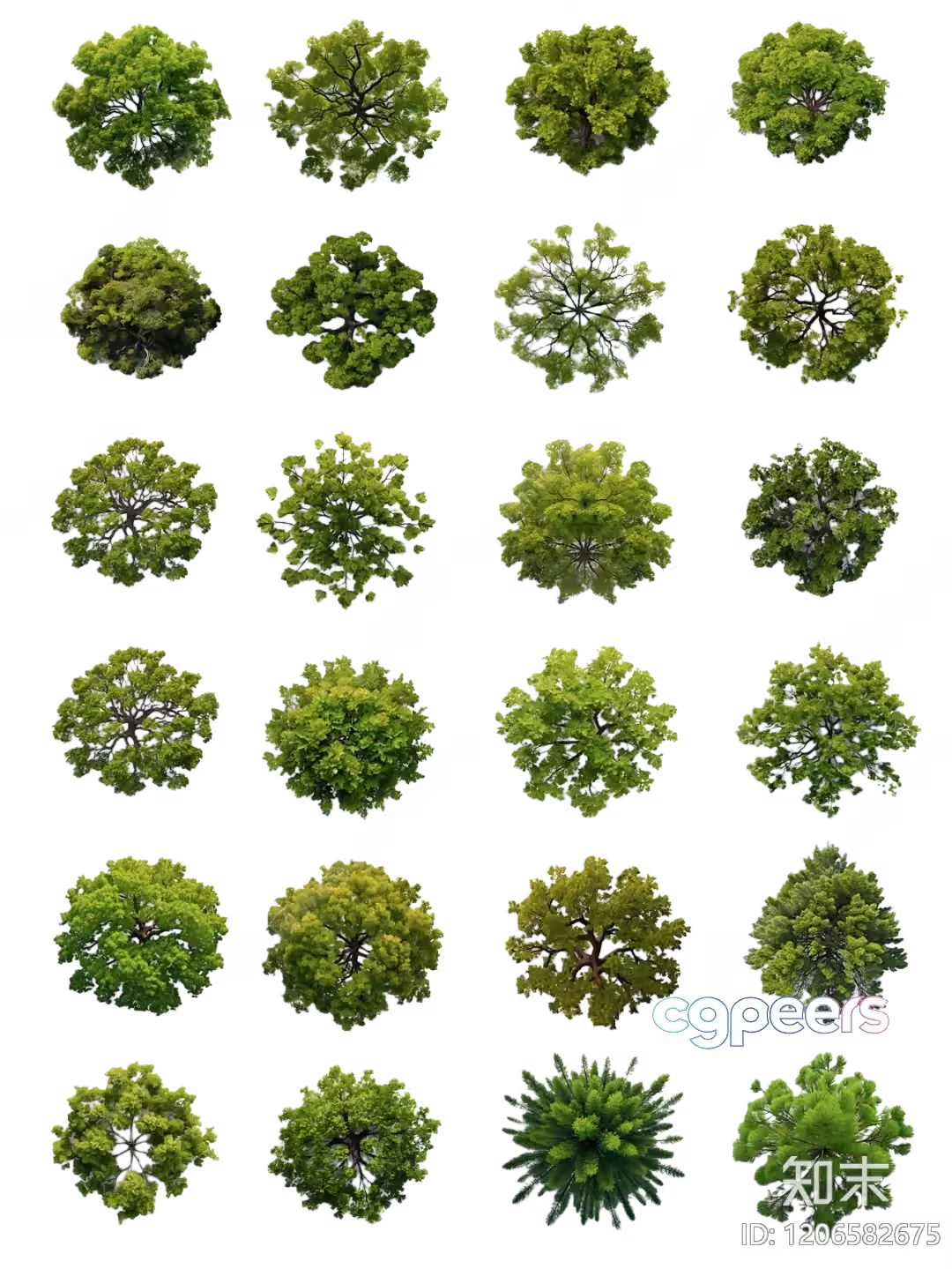 Tree Tops 3D Model – 6355 – VRAY Render