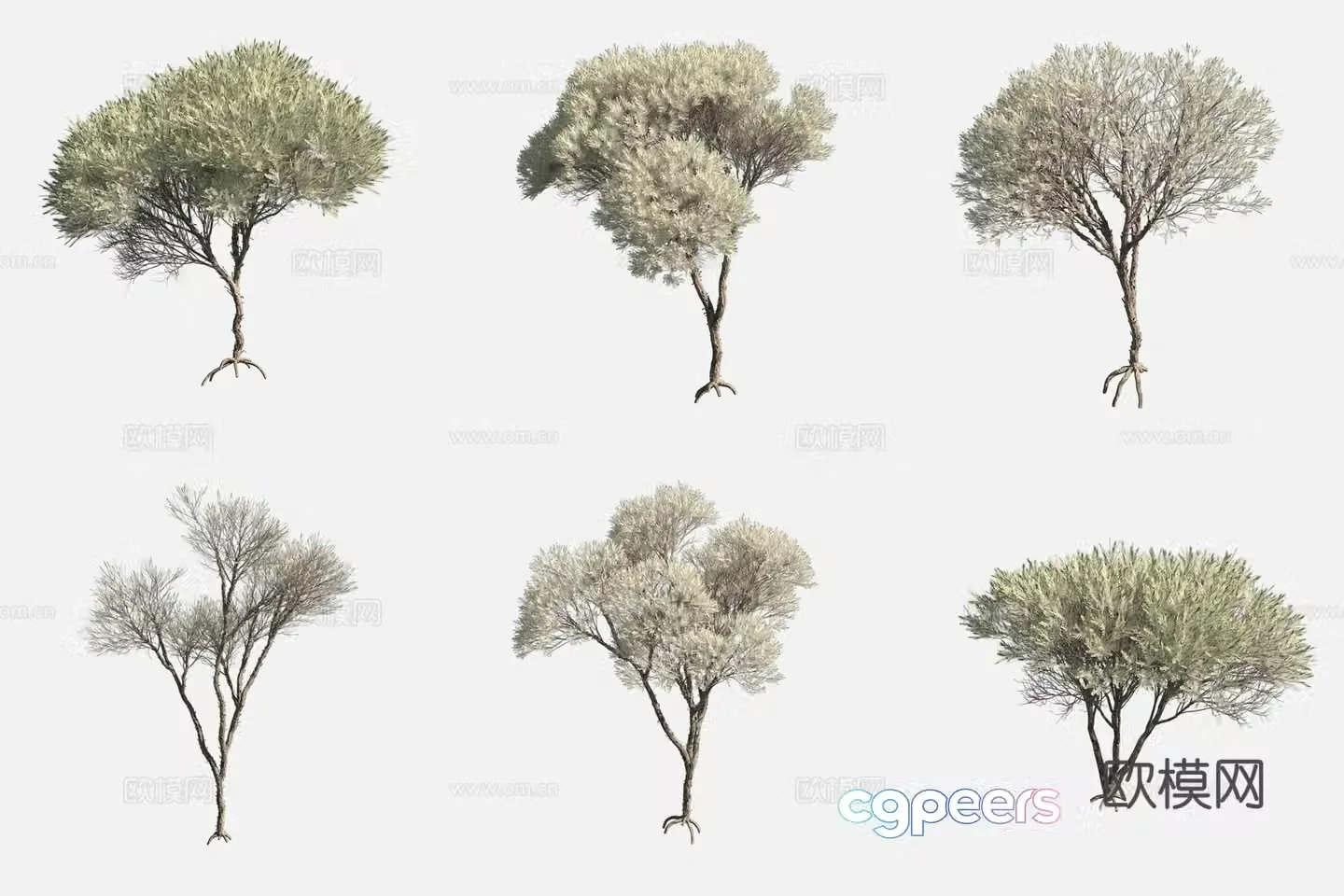 Heather Leaf White Thousand Layer Flower Tree Worcesterland Plant 3D Model