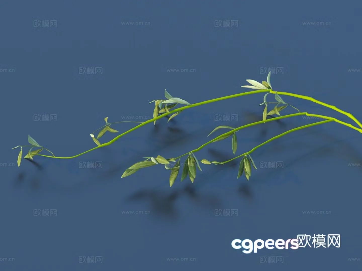 Vegetable leaves side dishes vegetables grass 3d model