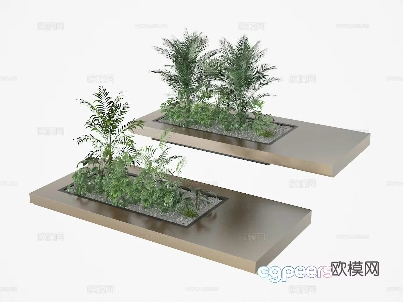Bonsai 3d model