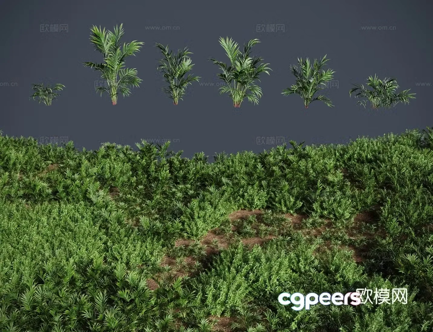 Modern grass lawn flat leaf brown grass shrub 3d model