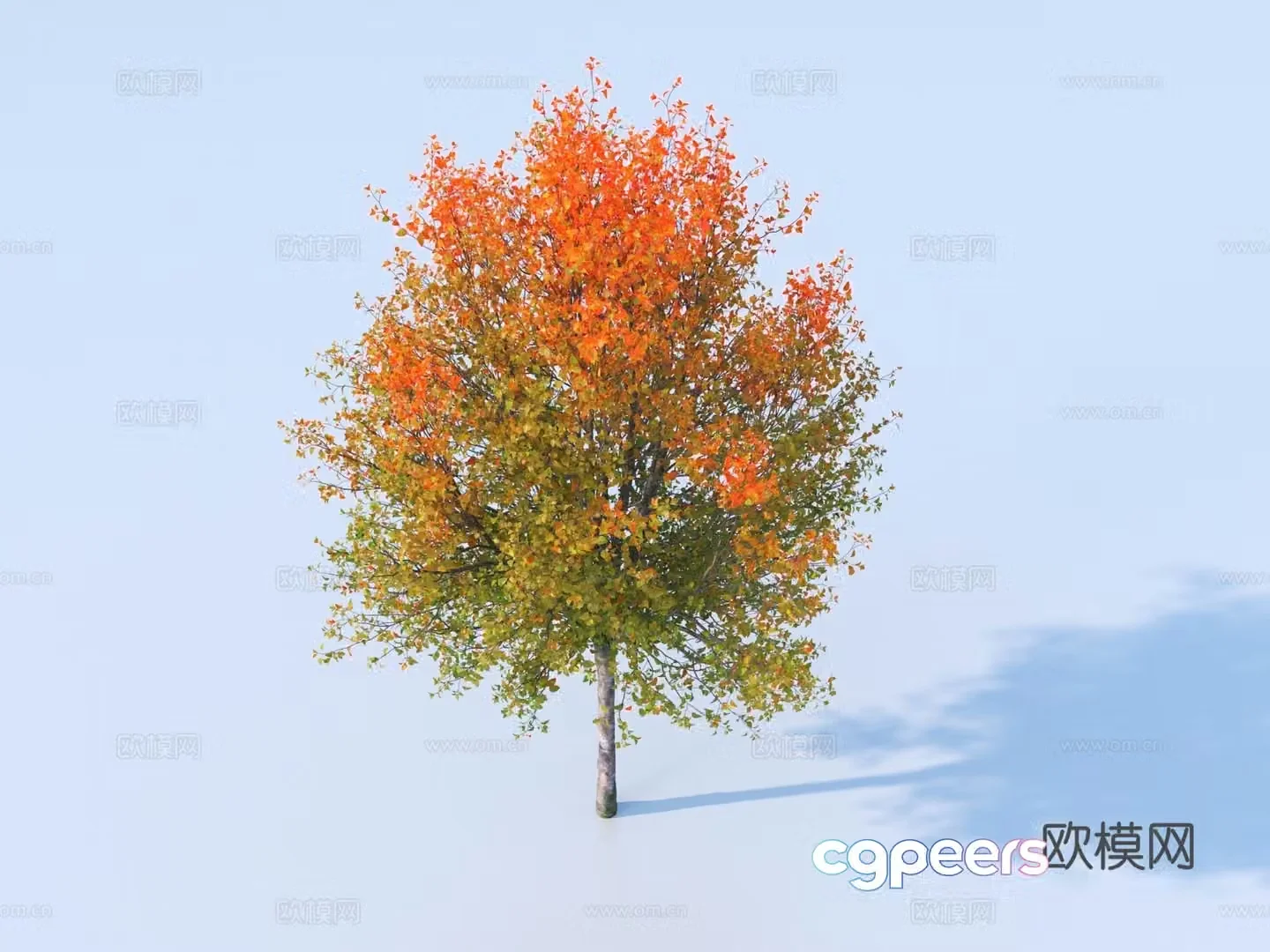 Tree Plant Yellow Leaf Tree Autumn and Winter Tree Colorful Tree Landscape Tree 3D Model