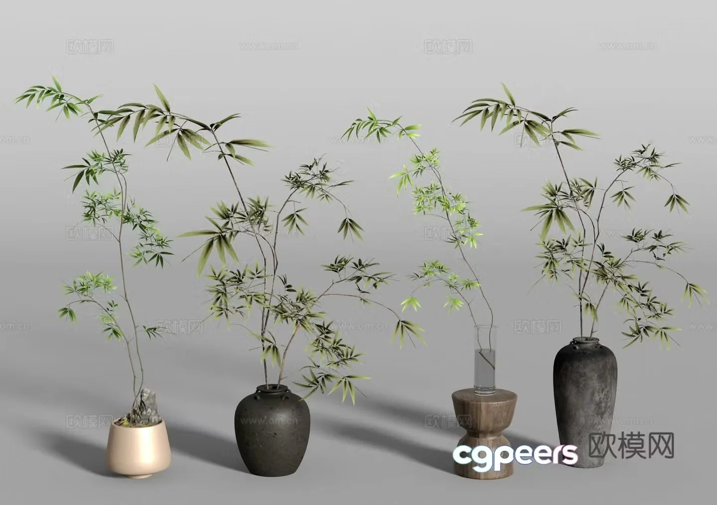 bamboo bonsai plant green plant 3d model