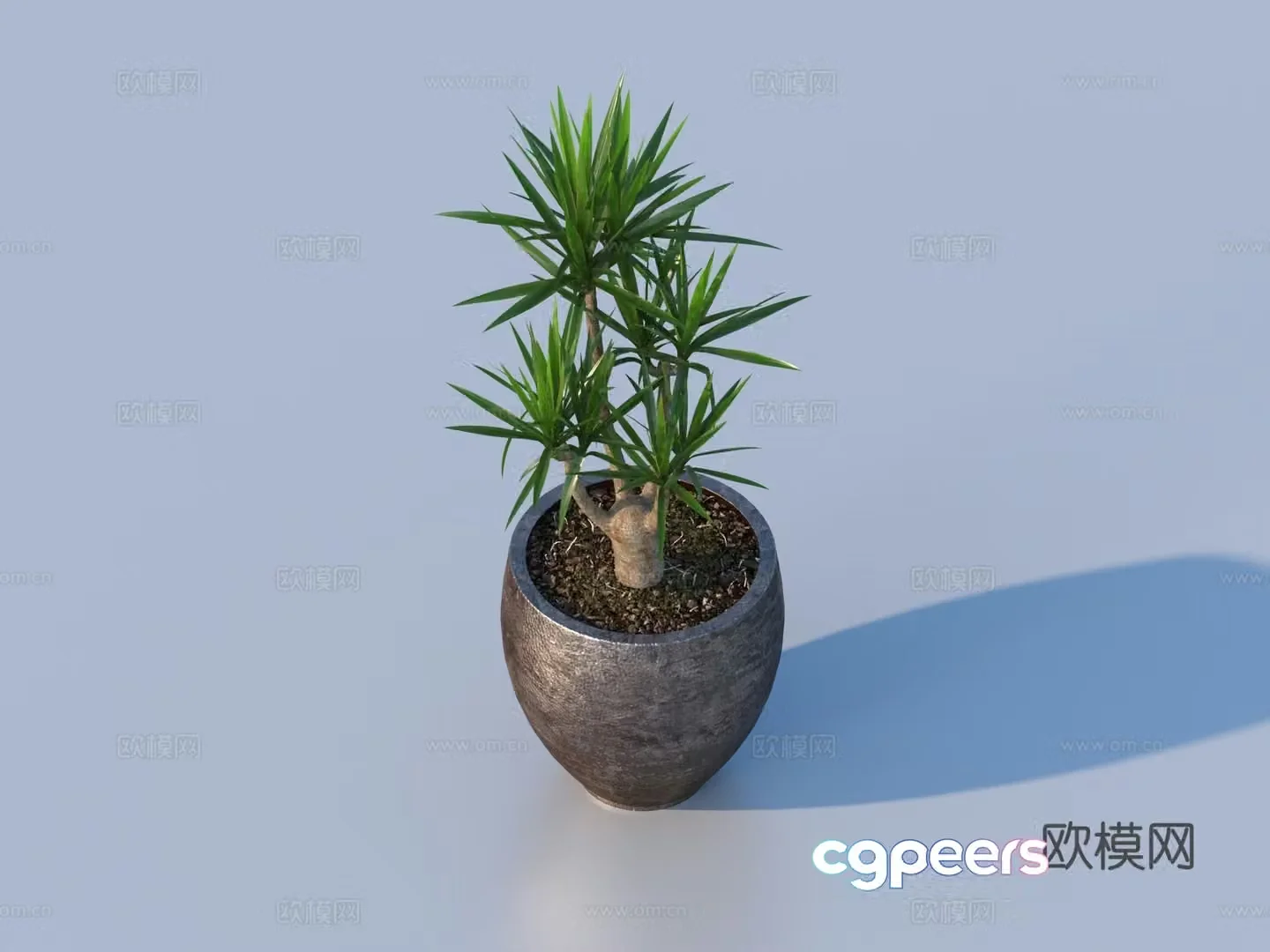 flowerpot potted plant green plant plant 3d model